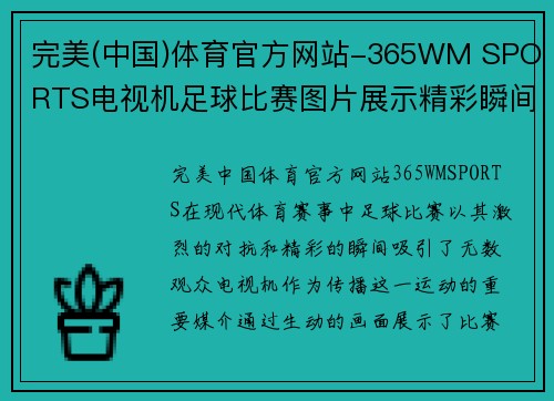 完美(中国)体育官方网站-365WM SPORTS电视机足球比赛图片展示精彩瞬间与激烈对抗的完美结合