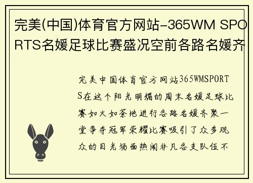 完美(中国)体育官方网站-365WM SPORTS名媛足球比赛盛况空前各路名媛齐聚一堂争夺冠军荣耀