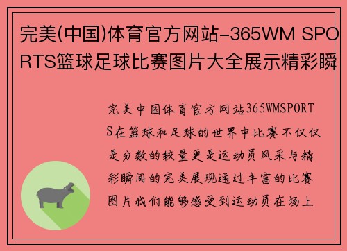 完美(中国)体育官方网站-365WM SPORTS篮球足球比赛图片大全展示精彩瞬间与运动员风采