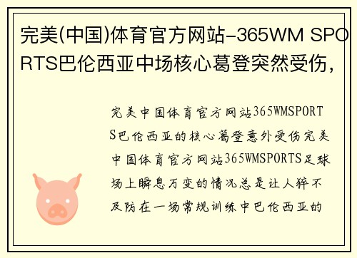 完美(中国)体育官方网站-365WM SPORTS巴伦西亚中场核心葛登突然受伤，或将缺阵数周，球队战术或需重组